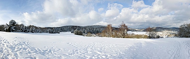 Taunus-Panorama